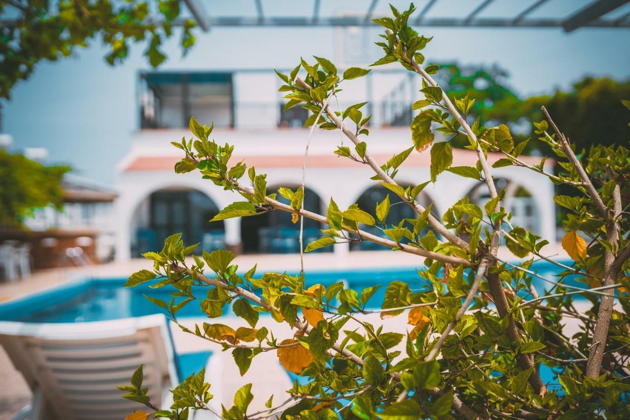 Apartmán Chrysland Ayia Napa Exteriér fotografie