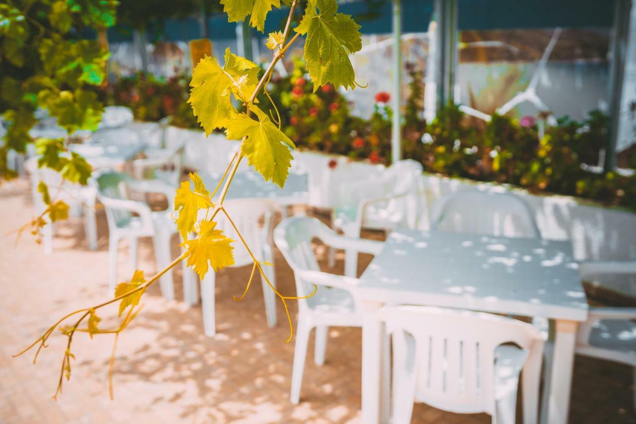 Apartmán Chrysland Ayia Napa Exteriér fotografie
