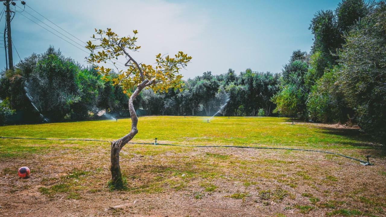 Apartmán Chrysland Ayia Napa Exteriér fotografie