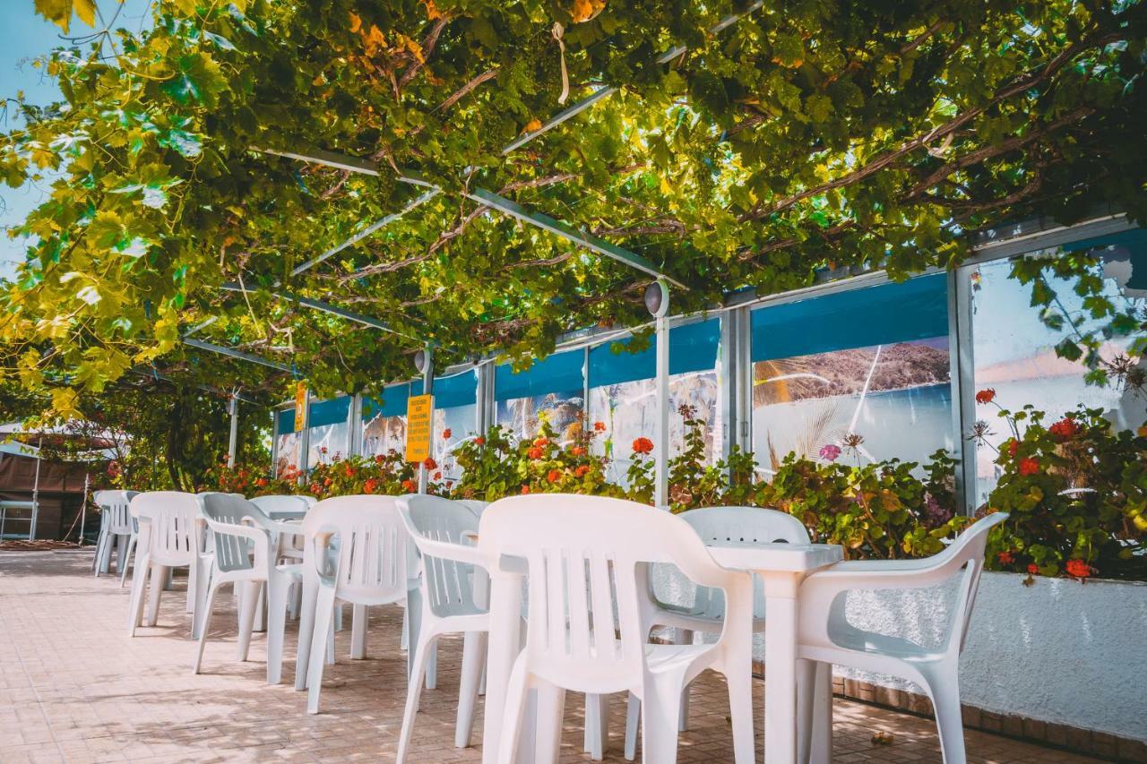 Apartmán Chrysland Ayia Napa Exteriér fotografie