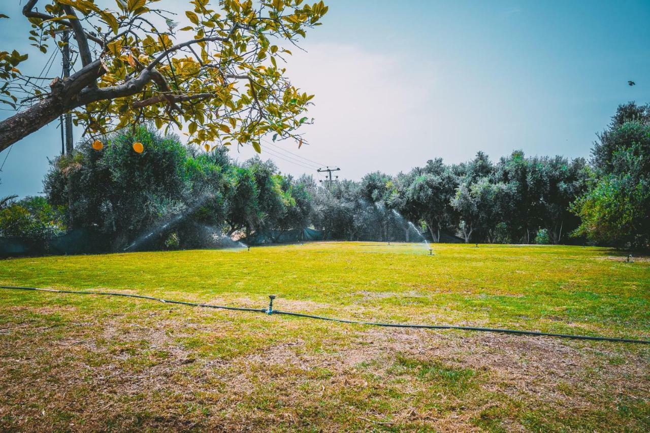 Apartmán Chrysland Ayia Napa Exteriér fotografie
